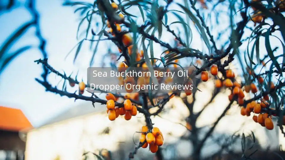 Sea Buckthorn Berry Oil Dropper Organic Reviews